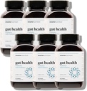 Prebiotics를 가진 더 똑똑한 영양 Gut 건강 Probiotics - 소화를 위한 MCT 기름을 가진 100%년 Soil 근거한 균류, Gut Microbiome - 채식주의자 - 360 조사 (6의 포장) - 180 일 공급