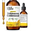 야생 & 유기 Echinacea 황금 액체 낙하물 - 면역 지원 보충교재 w/Goldenseal Echinacea 뿌리 추출물 - Vegan, 설탕 & 알콜 자유로운 Tincture - 2개 fl oz