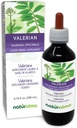 Naturalma Valerian (Valariana officinalis) 뿌리 알코올 프리 태피스 - 6.76 fl oz 액체 추출물 - 초본 보충 - Vegan