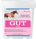 GutTM 펠릿 | 말을위한 건강한 구트 프로바이오틱스 | Equine Prebiotic & Probiotic Powder | 말 Stomach 보충교재 | 13.5 lb