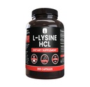 PURE ORIGINAL INGREDIENTS L-Lysine HCl (365 캡슐) 마그네슘 또는 쌀 필러 없음, 항상 순수, 실험실 검증