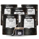 더 나은 Alt 5의 순수한 Himalayan Shilajit 수지 팩 높은 힘 금 급료 375 에너지 부스트 & 면역 지원, 85+ 추적 무기물, 75%+ Fulvic 산, 실험실 시험 보고서와 더불어, 400 mg