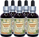 여왕의 뿌리 (Stillingia Sylvatica) Tincture, 건조 뿌리 액체 추출 (브랜드 이름: HerbalTerra, Proudly Made in USA) 5x2 fl.oz (5x60 ml)