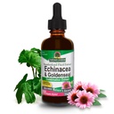 자연의 대답 Echinacea & 유기 알콜을 가진 황금, 2-Fluid Ounces