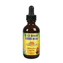 자연의 생활 B-12 낙하, Methlycobalamin 4 oz (2 Fl Oz (1의 포장)