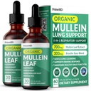 Lungs와 Bronchial - Lungs를 위한 Mullen 잎 추출물을 가진 호흡 폐 건강 지원 - Elderberry, Echinacea 및 Ginger 뿌리 (60의 서빙) (2 팩)를 가진 Mullein Tincture