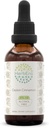 Ceylon Cinnamon B60 알콜 자유로운 초본 추출물 Tincture의 집중된 액체 하락 자연적인 Cinnamon (Cinnamomum Verum) (2개 oz)