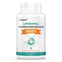 Orgabay Liposomal NAD + 보충 500 mg, 높은 흡수, TMG 250 mg, Nicotinamide Riboside, 지원 세포 에너지, 건강한 노후화 인후화 인후화 인후화 인후화 인후화 인후화 인후화 인후화 인후화 인후화 인후화 인후화 인후화 인후화 인후화 인후화 인후화 인민 공화국