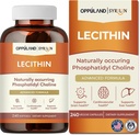 Lecithin-240 Softgels 지원 뇌 건강