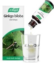 A. Vogel 은행나무 Biloba 드롭