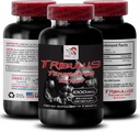 Natural Stamina Boost - TRIBULUS TERRESTRIS Extract - 강도 및 활동 지원, 에너지 최적화 포뮬러, 플랜트 기반 전원, 바디 성능 혼합, 활성 복구, 에너지 흐름 1Bot 90Tabs