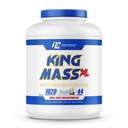 Ronnie Coleman 서명 시리즈 임금 질량 XL, 바닐라 아이스크림, 2.75kg