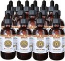 하와이 Pharm 마늘 (Allium sativum) 액체 추출물 15x4 Oz