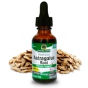 자연의 답변 Astragalus 루트 알코올 무료 초본 보충 1 Ounce (2 팩) | 면역 지원 | 심혈관 건강 증진 | 천연 스트레스 Reliever