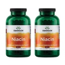 Swanson Niacin (B3) 카디오 건강 지원 탄수화물 대사 500 밀리그램 250 캡슐 (2 팩)