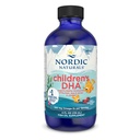 Nordic Naturals Children's DHA, Strawberry - 4 oz for Kids- 530 mg Omega-3 with EPA & DHA - 두뇌 개발 및 기능 - 비 GMO - 48 서빙