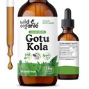 Wild & Organic Gotu Kola Herb Tincture - 두뇌 지원 - Gotu Kola Liquid Extract Drops - Vegan, Sugar & Alcohol-Free Centella Asiatica 보충 - 2 fl oz