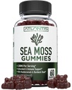 아일랜드어 Sea Moss Gummies - 3000MG - 공식화 된 w / 아일랜드어 Sea Moss, Bladderwrack & Burdock Root, 필수 비타민 및 미네랄 - 산화 방지제 - Rich Superfood Supplement, 성인 60 바다 Moss Gummies
