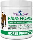 Vital Planet - Flora Horse Probiotic, Prebiotics, 40 억 라이브 CFU를 가진 높은 효능 Equine Probiotics, 소화 및 면역 지원, 180 지연 릴리스 캡슐 (180 일)