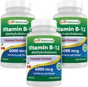 Methylcobalamin (Methyl B12)로 제일 자연적인 비타민 B-12, 6000 mcg 120 이하 언어 정제 (120의 조사 3))
