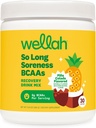 Wellah So Long Soreness BCAA 분말 (Pina Colada 맛있은) 30의 서빙 - Hydration Complex로
