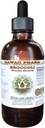 브로콜리 알콜 자유로운 액체 추출물, 유기 브로콜리 (Brassica Oleracea)씨 Glycerite 하와이 Pharm 자연적인 초본 보충교재 2개 oz