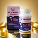 H-HOLYMA WLM AAAAA Lysozyme, 염증 지원, 면역 부스터, 소화 건강 강화제