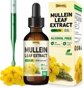 Lungs 보충교재를 위한 Mullein 하락: 유기 Mullein 잎 30:1 Chlorophyll를 가진 추출물 Tincture - 초본 보충교재 지원 Lung Cleanse & 호흡 기능 - 비 GMO, Vegan - 2 Fl Oz