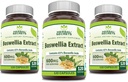 허브 시크릿 Boswellia Serrata 추출물 (65% Boswellic 산) 600 mg 캡슐 보충 | 비 GMO | 글루텐 무료 (120 | 3 팩)