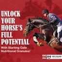 SBS Equine 시작 문 과립 - 말 Stomach Ulcer 처리 & Ulcer 기복, 말 보충 교재는 호프 보충교재 (5개 갤런)로, 완전한 Prep를 먹이를 위한, 완전한 준비합니다