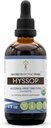 Hyssop USDA Organic | 알코올 무료 추출물, 고순도 초본 드롭 | 100 % 인증 유기농 Hysssop (Hyssopus officinalis) 말린 허브 (4 oz)