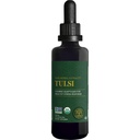 Global Healing Center - 유기 Tulsi (Holy Basil Leaf Extract) Vegan Liquid Supplement Drops (Organic Basil) - 정상적인 스트레스 응답을위한 Bioavailable 허브, 천연 에너지 및 면역 지원