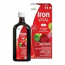 Hübner Hubner Iron Vital Liquid Iron Supply Plus 비타민 C, 성인 및 어린이용 보조 보충, 채식 및 글루텐 프리, 과일 맛, 500 ml 병, 50 서빙