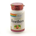 SOLARAY 호손 추출물 100mg | 60 CT