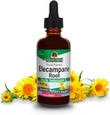 자연의 답변 Elecampane 루트 2 oz. 낮은 유기 알콜 2000mg - 초본 보충교재 - 비 GMO & Kosher - 낮은 알콜 글루텐 자유로운 100% Vegan - 2 FL Oz