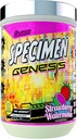 Specimen Full Spectrum High Stimulant Pre-Workout Powder | Supercharged Energy & Muscle Pumps + Focus & Hydration | 훌륭한 Far-Out 맛(Strawberry Watermelon V3)