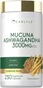 Ashwagandha가있는 Carlyle Mucuna | 3000mg | 250 캡슐 | Mucuna Pruriens Supplement | 채식주의, 비 GMO, 글루텐 무료