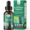 인증 유기 림프 배수장치 - Echinacea Goldenseal & Red Clover Extract - Vegan Non GMO Alcohol and Sugar Free - 30 서빙