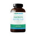 Dr. Izabella Wentz의 뿌리학 | Pancreatic Enzymes Plus | Enteric coated Lipase, Protease & Amylase Blend with Bromelain | 90 캡슐