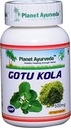 행성 Ayurveda Gotu Kola, 500mg Veg 캡슐 단일 병