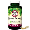 Silver Lining 37 Canine Kidney Support - 초본 개 보충 - Normal Kidney & Bladder 기능을위한 자연 지원 혼합 - 90 캡슐
