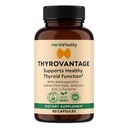 Thyroid 지원 보충교재 – Iodine, Kelp, Ashwagandha, Selenium, 아연 – 지원 에너지, 대사 & 호르몬 균형 – L-Tyrosine, Schisandra, Bladderwrack (패키지 1)