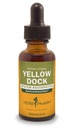 소화 시스템 지원을위한 허브 Pharm Yellow Dock 액체 추출물 - 1 Ounce