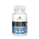 Perfect Vision AREDS2 Inspired Formula - 향상된 비전 보충 - Lutein Zeaxanthin Vision Complex (60 눈 캡슐)