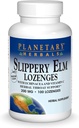 행성 초본 슬리퍼 Elm Lozenges, 100 조사