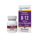 우수한 근원 탄 비타민 B12 Methylcobalamin (5000 mcg), B6의 Folic 산, 빠른 용해 이하 언어 정제, 60 Ct의 증가 에너지, 건강한 심장, 부스트 대사, 긴장 지원, 비 GMO 없음