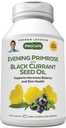 AndREW LESSMAN Evening Primrose 및 Black Currant Seed Oil 360 Softgels - Soothes 물리 불편 및 무드 스윙으로 Gamma-Linolenic, Omega-6 Fatty Acid, 첨가제 없음