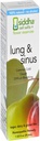 Siddha Remedies Lung & Sinus 스프레이 Sinus Relief, Congestion Relief, Cough Suppressant, Cold Medicine, Runny Nose | Homeopathic Allergy Medicine Relief | 비 GMO w/Cell Salts, 아니 알코올, 설탕