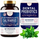 WINDSOR BOTANICALS Lactobacillus Salivarius Probiotic 및 치과 Probiotics 구두 건강 번들