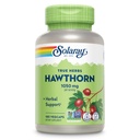 SOLARAY Hawthorn Berry 캡슐 1050 mg - Soothing 초본 지원 - 전체 웰빙 지원을위한 Hawthorne Berry 보충 - 전체 Berry, Vegan, Non-GMO, 60 일 보증, 90 서빙, 180 VegCaps